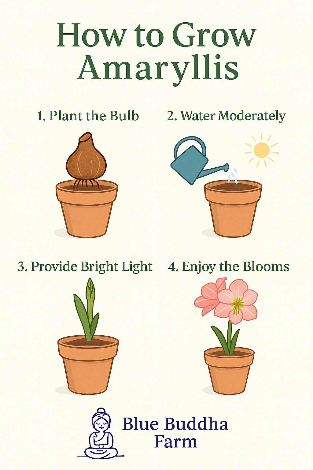 Amaryllis 'Graffiti' Bulb - Bold Green & Burgundy Striated Blooms