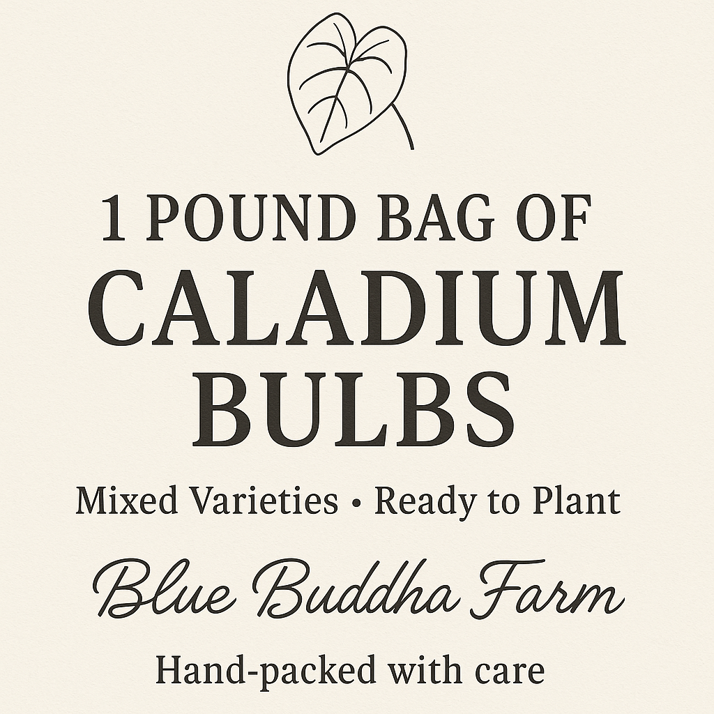 Caladium bulb mix in a 1lb Caladium Bag Mix, shown on a cream label with black botanical line art and serif lettering.