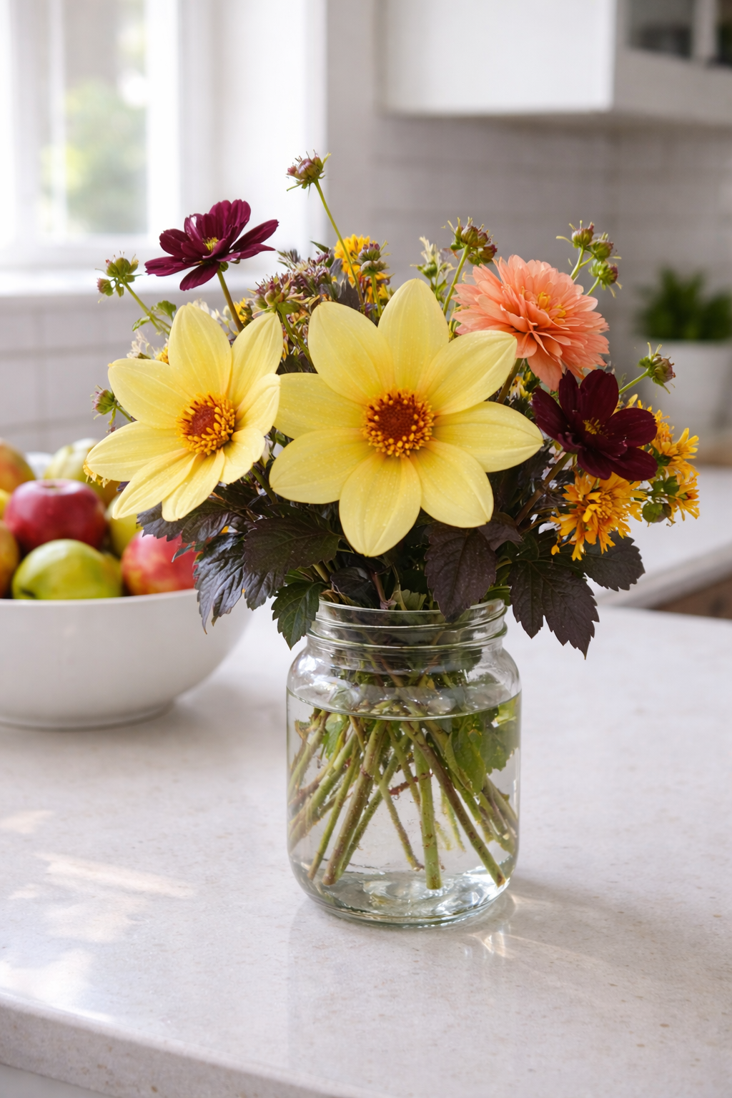 Bishop of York Dahlia Tuber | *PREORDER Spring 2026* | Blue Buddha Farm