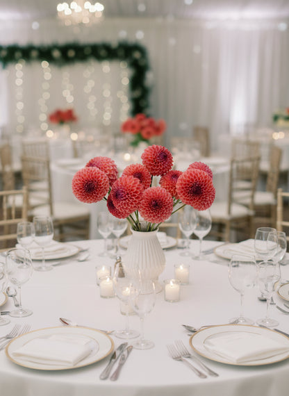 Jowey Winnie Dahlia Tuber |*PREORDER Spring 2026* | Dusty-Rose Ball Dahlia