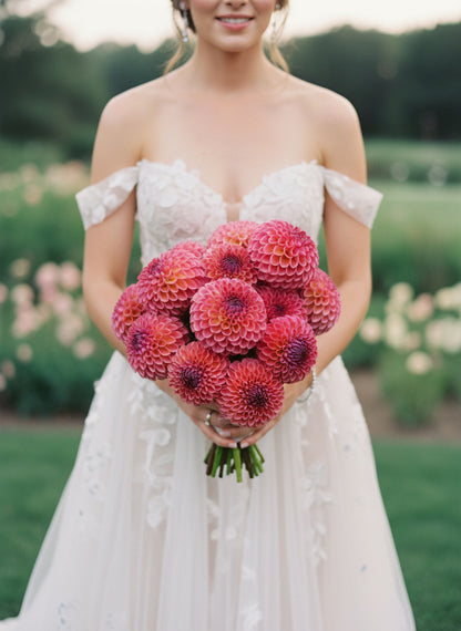 Fully opened Jowey Winnie ball dahlia showcasing layered petals and warm rose coloration, perfect for wedding bouquets.