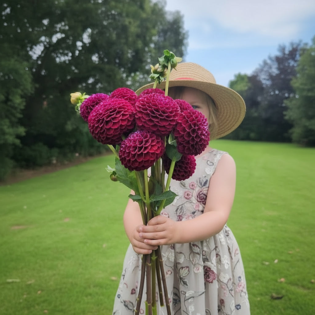 Close-up of a cluster of purple flowers with a blurred green background