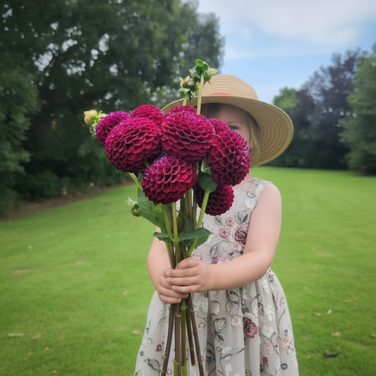 Close-up of a cluster of purple flowers with a blurred green background