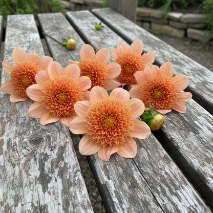 Decorative wreath made of flowers on a dark background