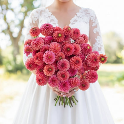 Bride holding gorgeous pink bouquet of dahlias from blue buddha farm