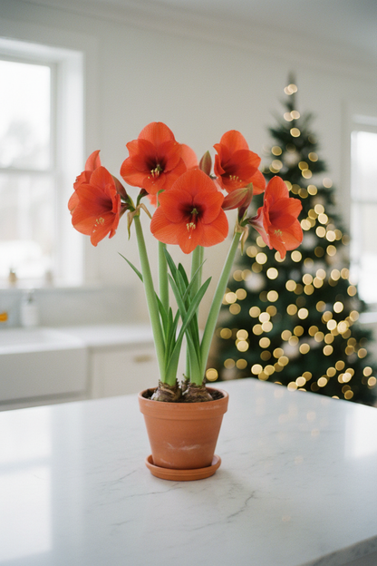 Love Heart – chic white kitchen with Christmas tree