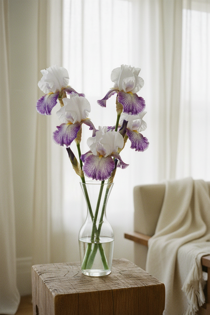 Off Topic Iris Vase