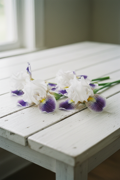 Riveting Iris on Whitewashed Table