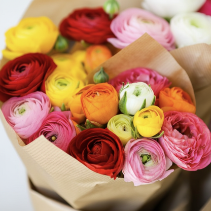 Tecolote Rainbow Mix Bloom
